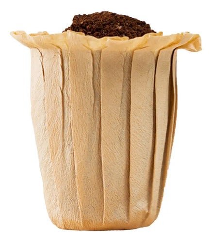 Pack 50 Filtros P/dripper Portable Coffee Brang